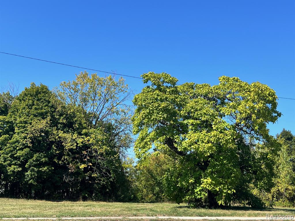 2949 E Vernor Highway, Detroit, MI 48207 — Photo 11