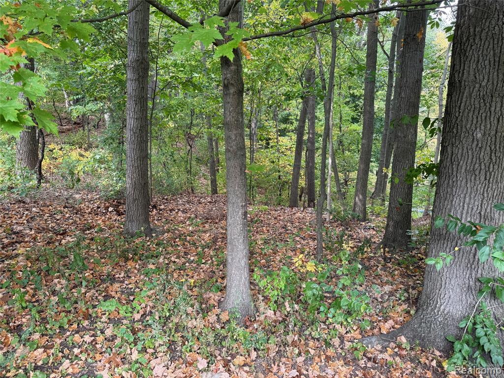 5540 Bostall Woods Drive, Rochester, MI 48306 — Photo 7
