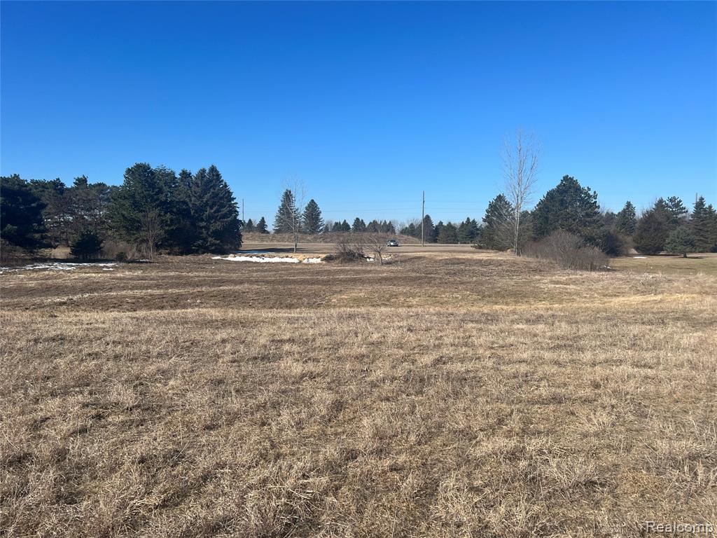 VL Mertz Rd, Mayville Vlg, MI 48744 — Photo 14