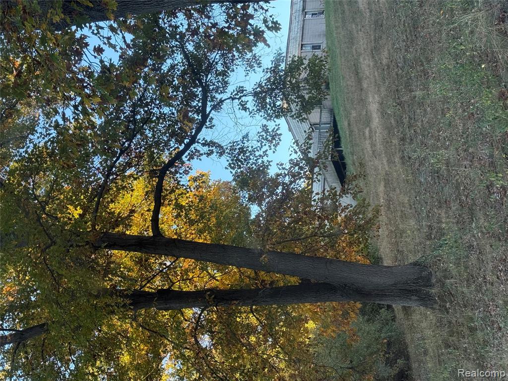 17241 Lands End, Chelsea, MI 48118 — Photo 15