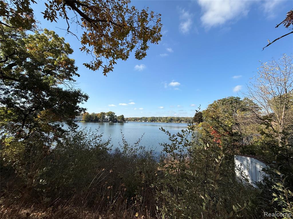 6168 Hillsboro Road, Davisburg, MI 48350 — Photo 21