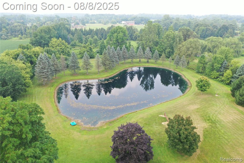 2784 S Blacks Corners Road, Imlay City, MI 48444 — Photo 65