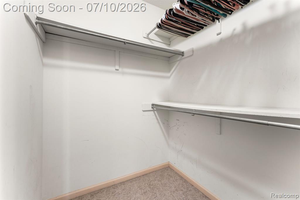 3144 N Nicholson Road, Fowlerville, MI 48836 — Photo 55
