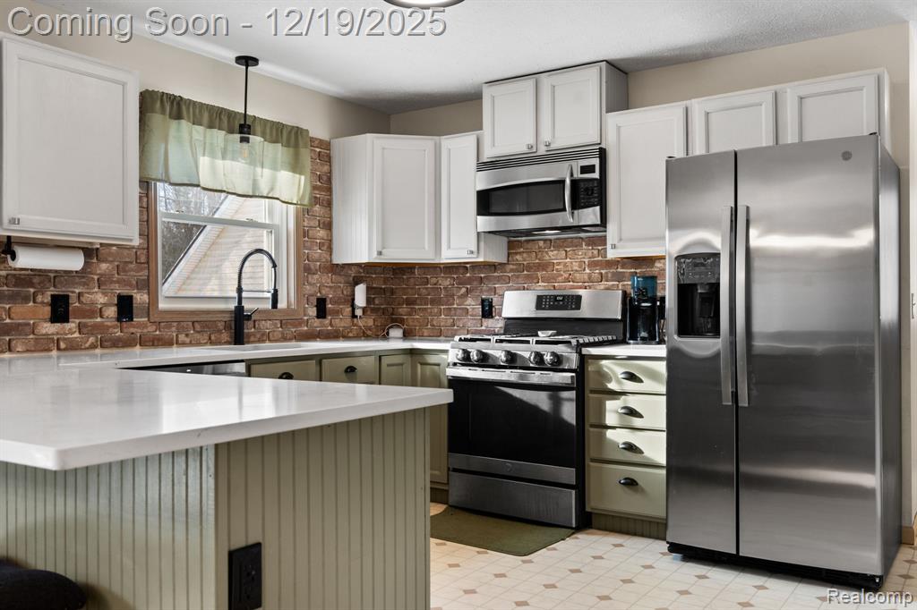 7097 Chase Lake Road W, Fowlerville, MI 48836 — Photo 12