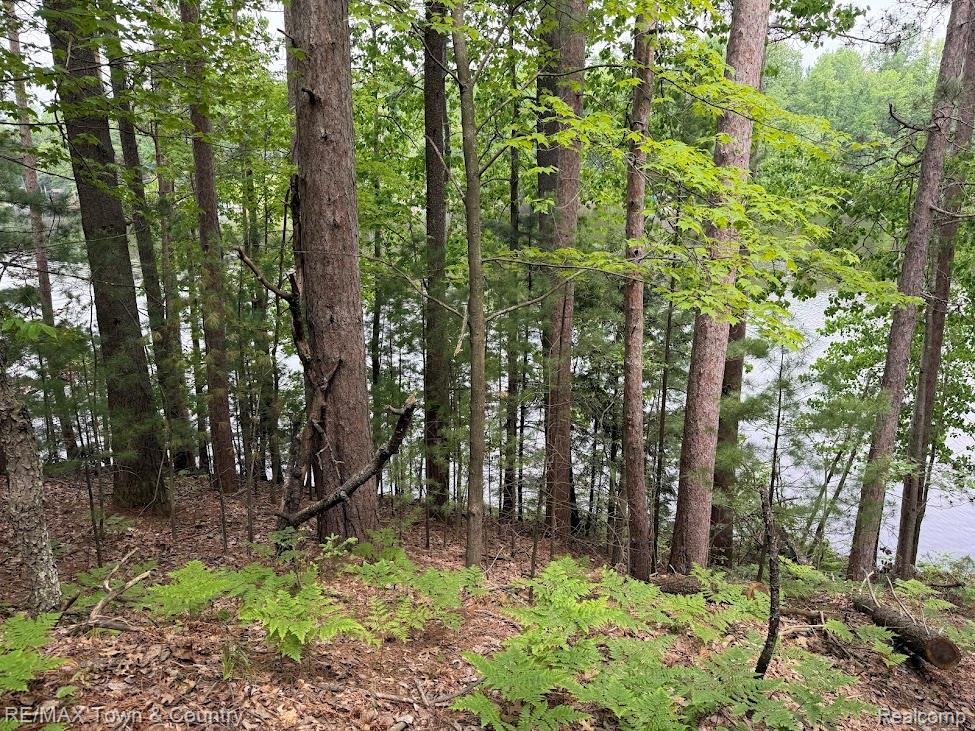 6450 Otter Trail Road, Alger, MI 48610 — Photo 11