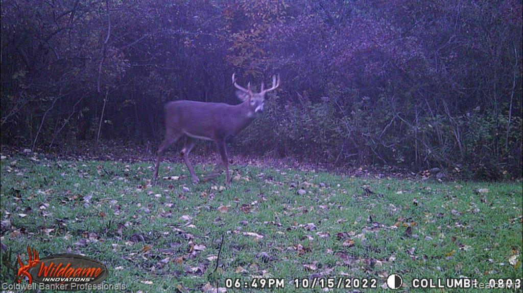 VL Columbiaville Road, Columbiaville, MI 48421 — Photo 25