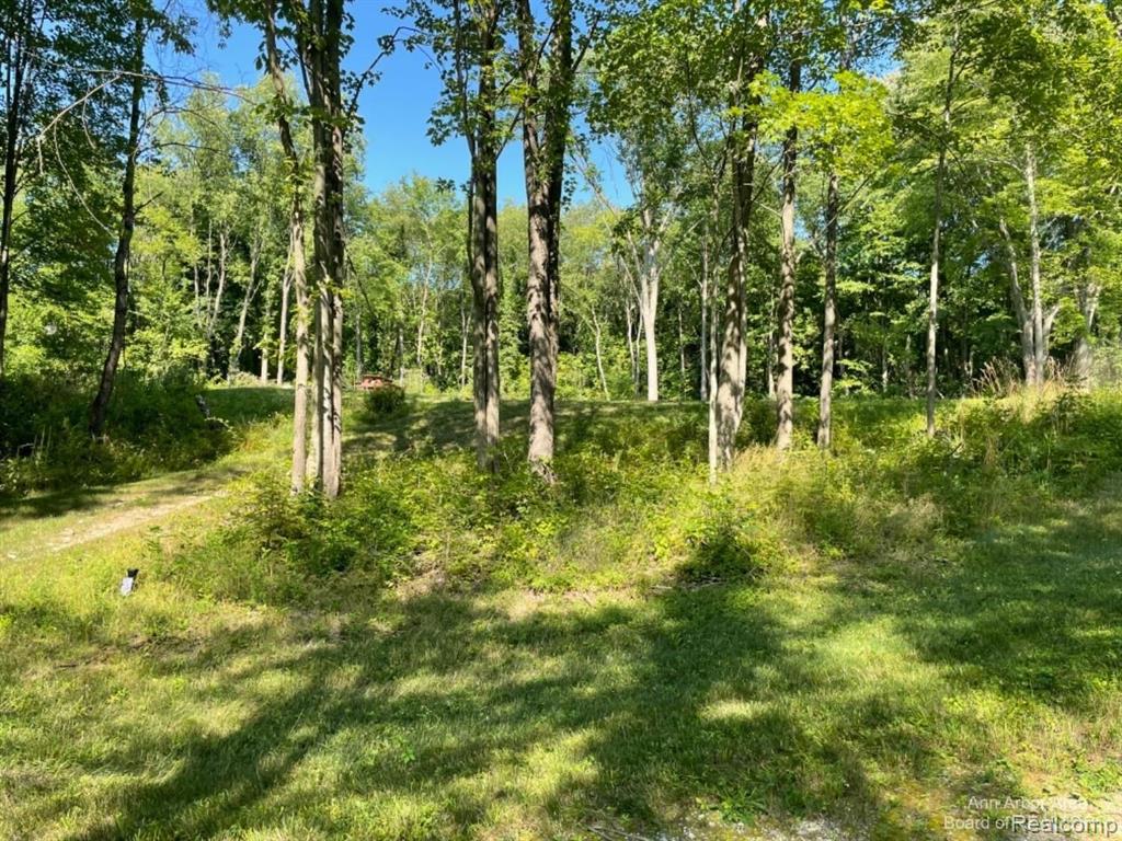 VL Denton Hills Road, Fenton, MI 48430 — Photo 16