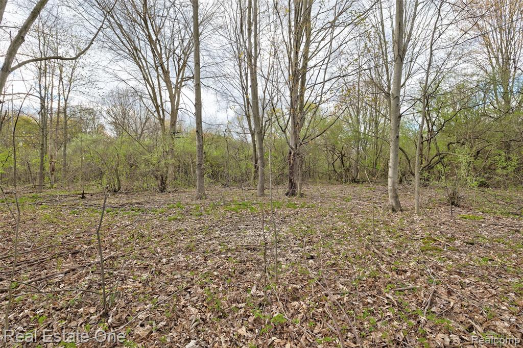 590 Judi Ann Lane, Holly, MI 48442 — Photo 25