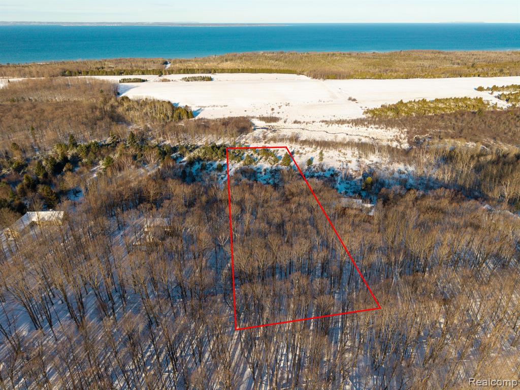 lot 4 BAY RIDGE ESTATES Drive, Ellsworth, MI 49729 — Photo 2