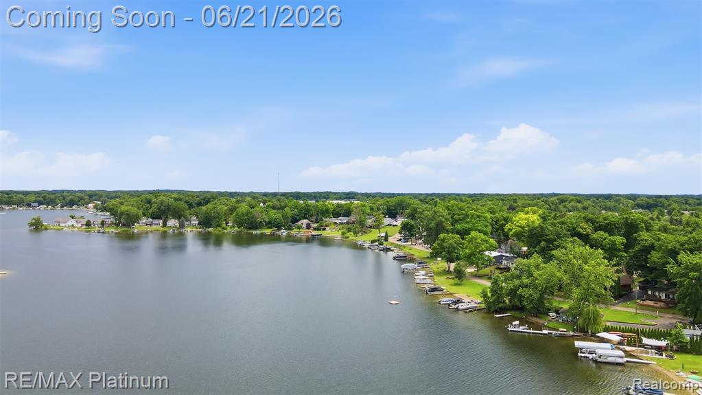 5504 Wildwood Drive, Howell, MI 48843 — Photo 28