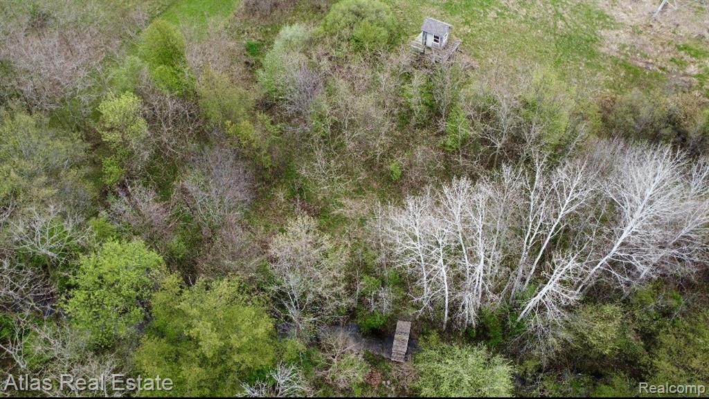 5415 Walker Road, Davison, MI 48423 — Photo 13