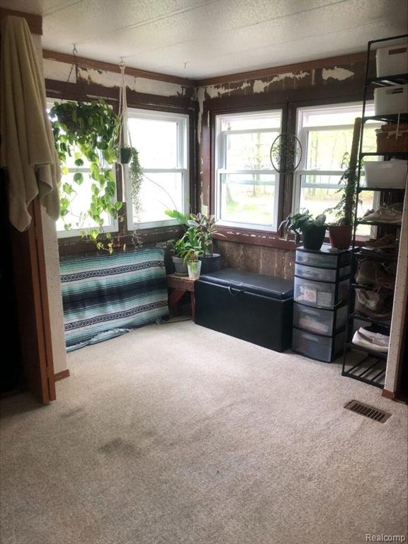 424 VOLLMER Drive, Mount Pleasant, MI 48858 — Photo 23