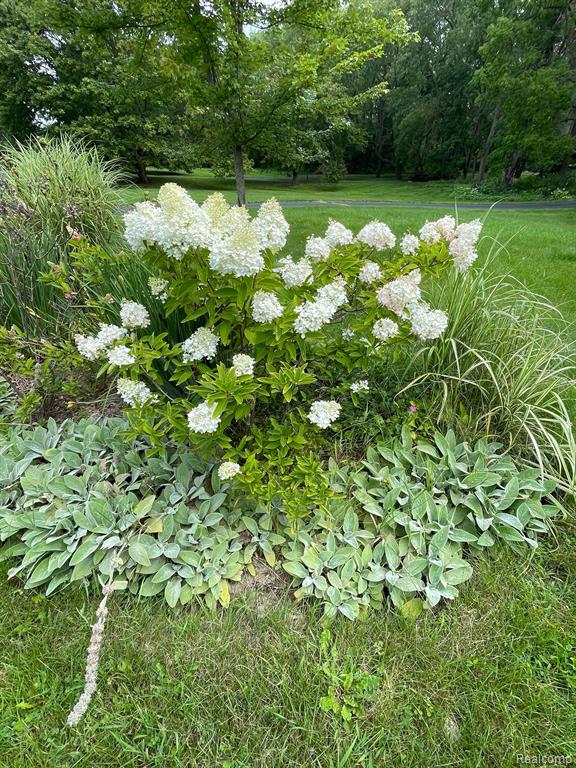 1827 HIGH HOLLOW Drive, Ann Arbor, MI 48103 — Photo 9