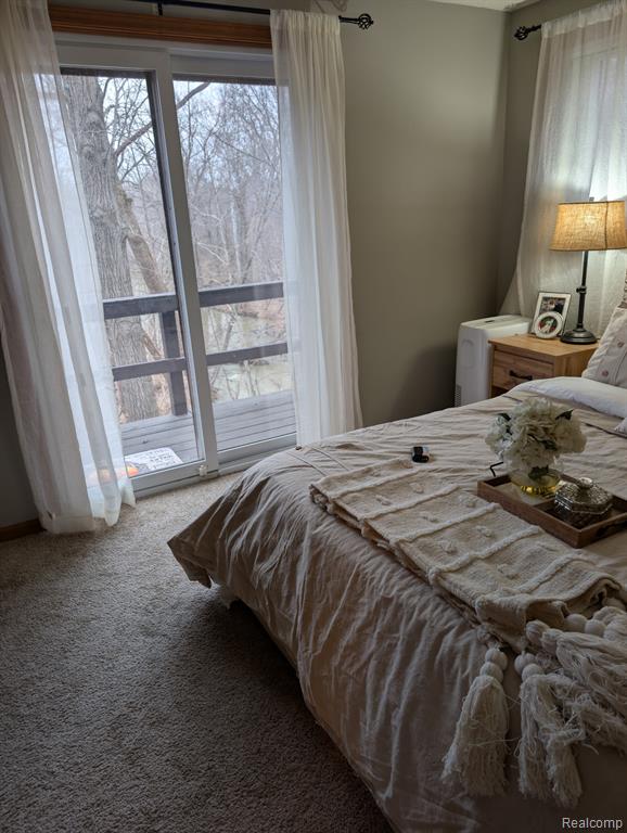 809 Blood Road, Tecumseh, MI 49286 — Photo 25