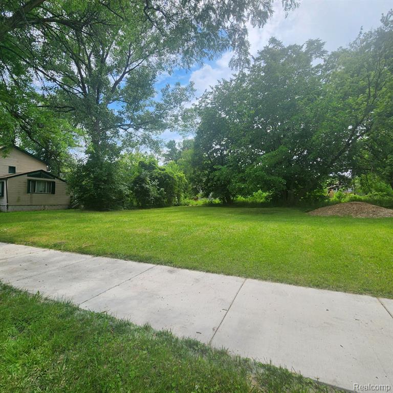 877 MANISTIQUE Street, Detroit, MI 48215 — Photo 4
