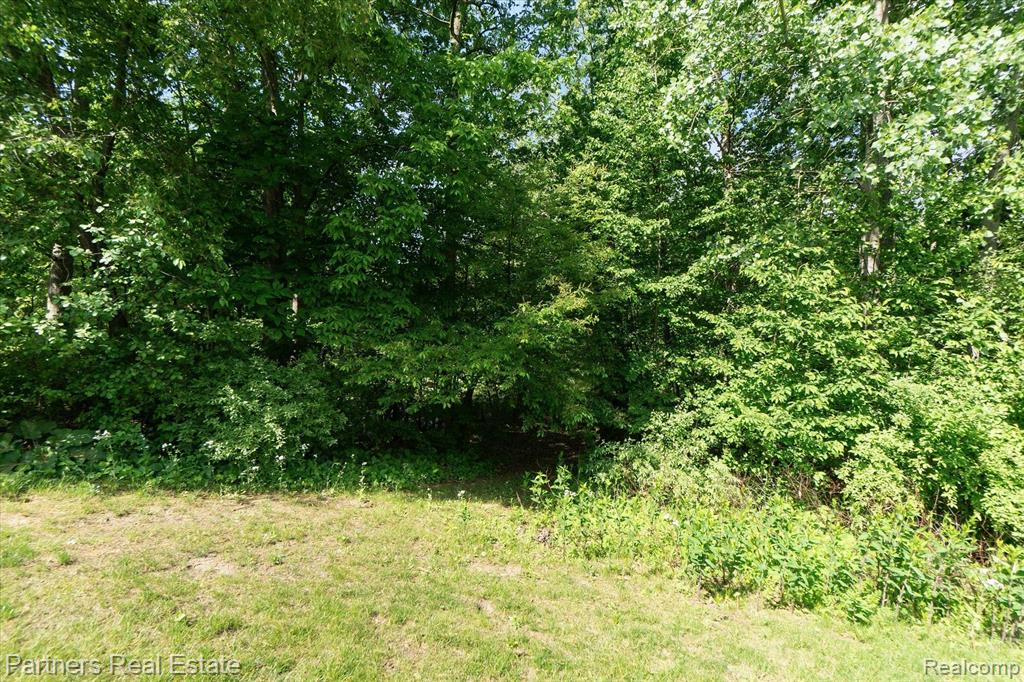 2956 W Telluride, Brighton, MI 48114 — Photo 45