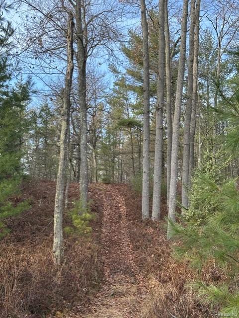 VL W AuSable Point Road, Oscoda, MI 48750 — Photo 10