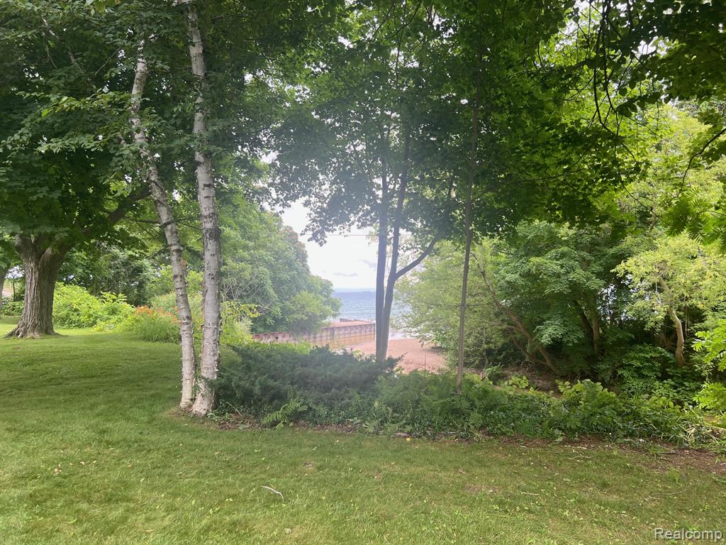 7428 Grove Road, Lexington, MI 48450 — Photo 9
