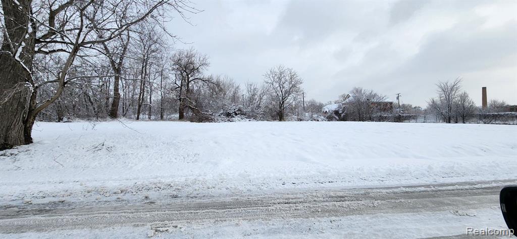 4200 LAWTON Street, Detroit, MI 48208 — Photo 5