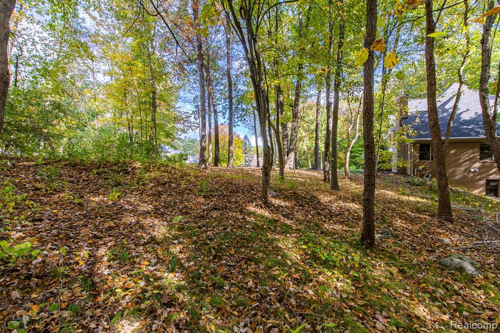 9933 Kingston Ridge, Clarkston, MI 48348 — Photo 7