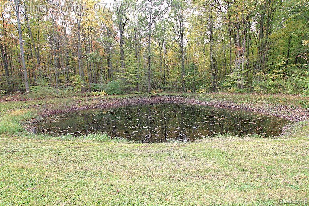 12403 Willard Road, Montrose, MI 48417 — Photo 11