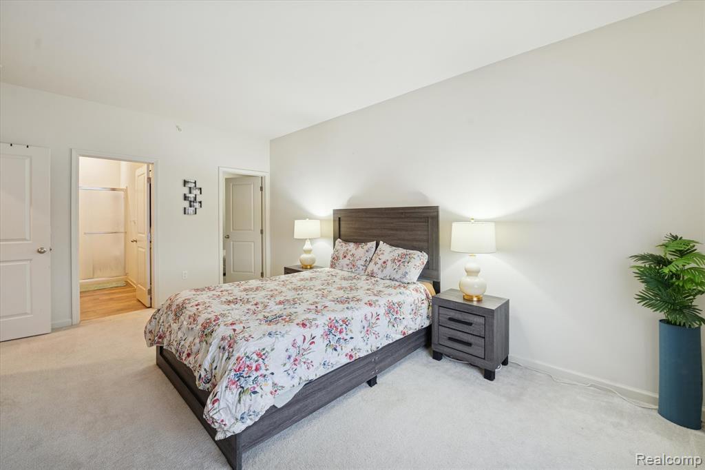 10028 RIDGE RUN Street, 10, Howell, MI 48855 — Photo 11