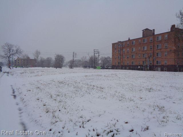 2736 ROCHESTER Street, Detroit, MI 48206 — Photo 6