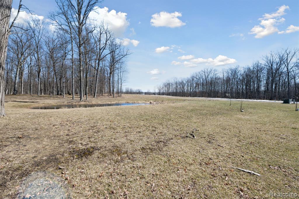 4520 KATHERINA Z Place, Howell, MI 48855 — Photo 17