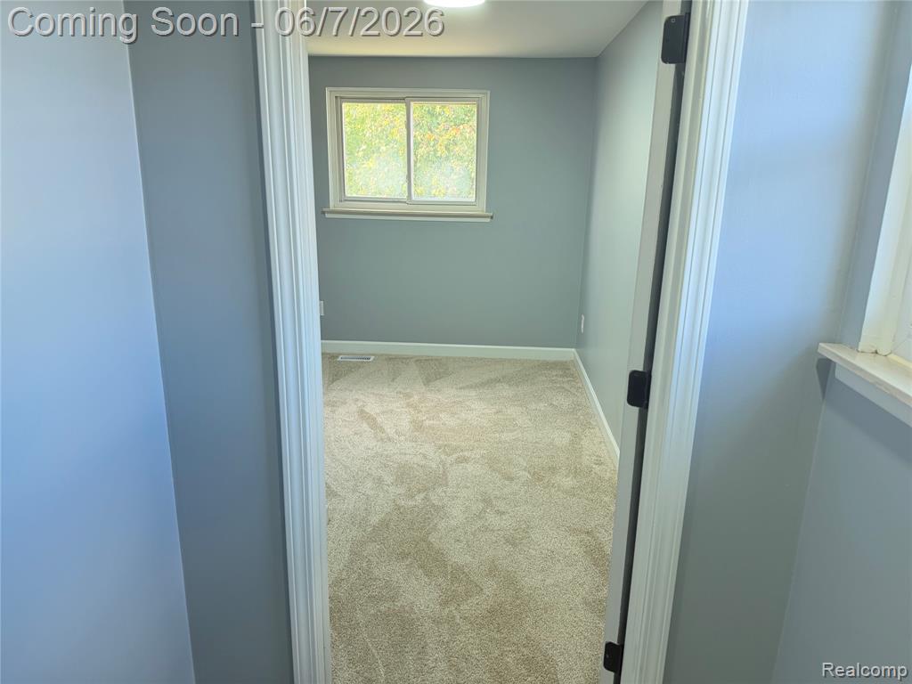 20698 Coachwood Road, Riverview, MI 48193 — Photo 21