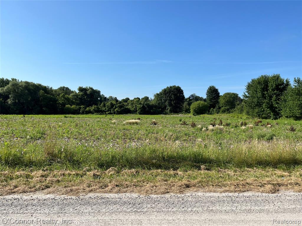 VL Lambs Road, Goodells, MI — Photo 3