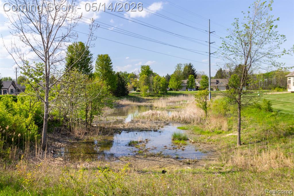 20725 Kenmare Drive, Macomb, MI 48044 — Photo 41