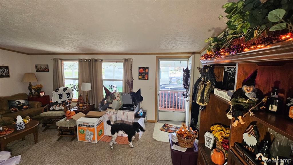 115 Pine Lakes Drive W, Lapeer, MI 48446 — Photo 23