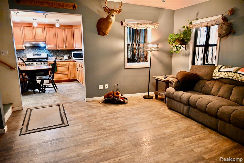12101 TODD Road, Ida, MI 48140 — Photo 24