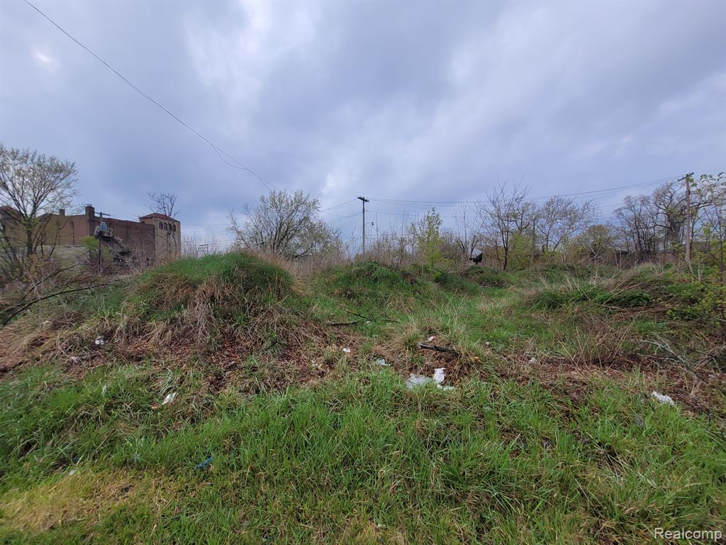 3332 ROCHESTER Street - Photo 2