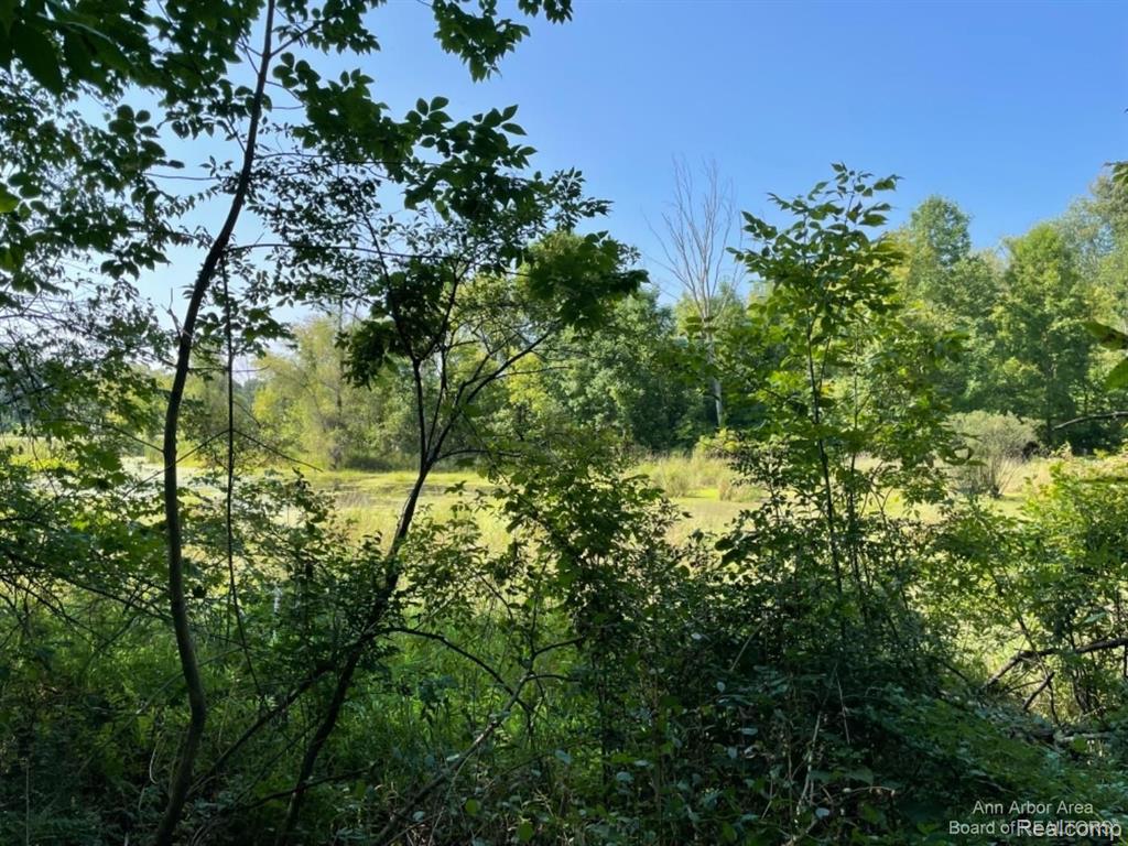 VL Denton Hills Road, Fenton, MI 48430 — Photo 4
