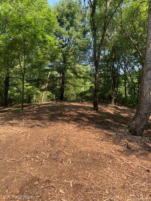 8 Sleaford-Parcel 8 - 2.12 Acres Road, Howell, MI 48843 — Photo 15