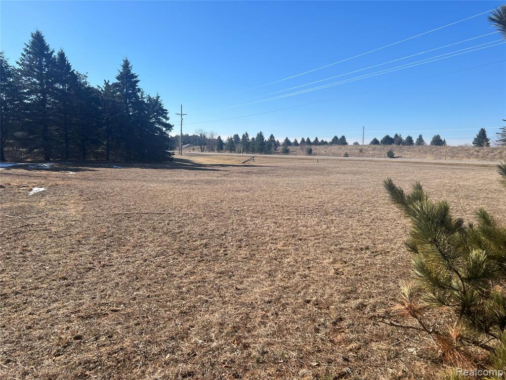 VL Mertz Rd, Mayville Vlg, MI 48744 — Photo 8