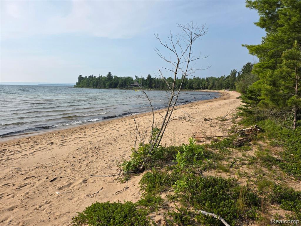 4680 S Pineshore Row, Brimley, MI 49783 — Photo 16