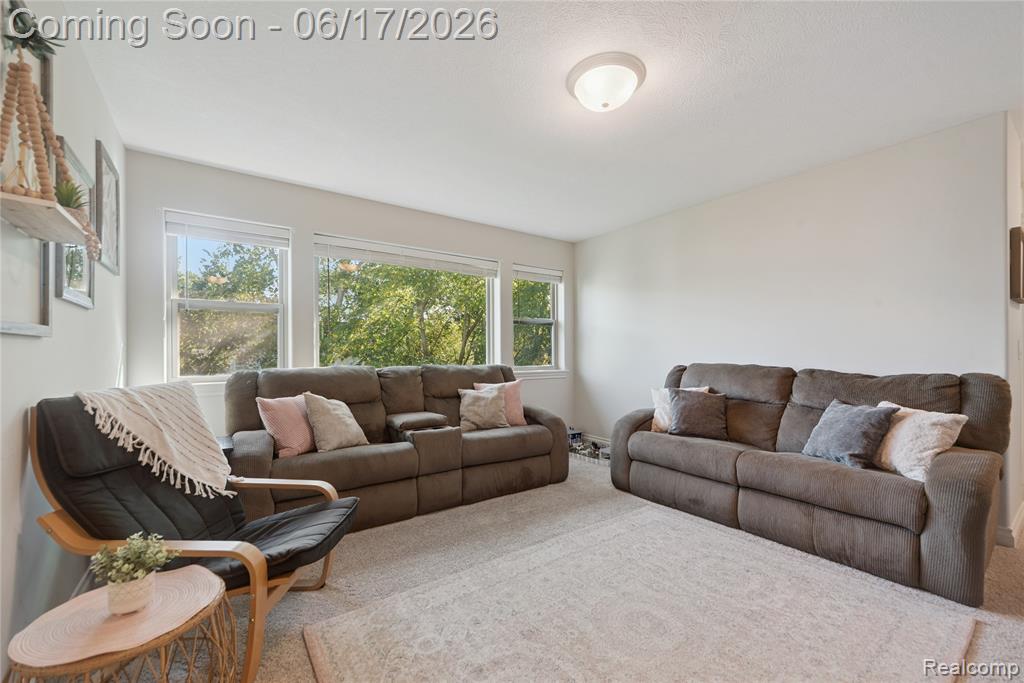 16939 Willowbrook Drive, Haslett, MI 48840 — Photo 39