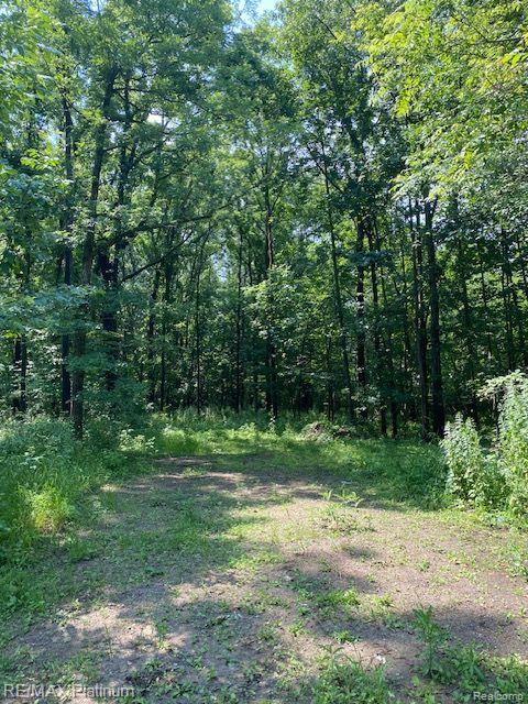 8 Sleaford-Parcel 8 - 2.12 Acres Road, Howell, MI 48843 — Photo 42