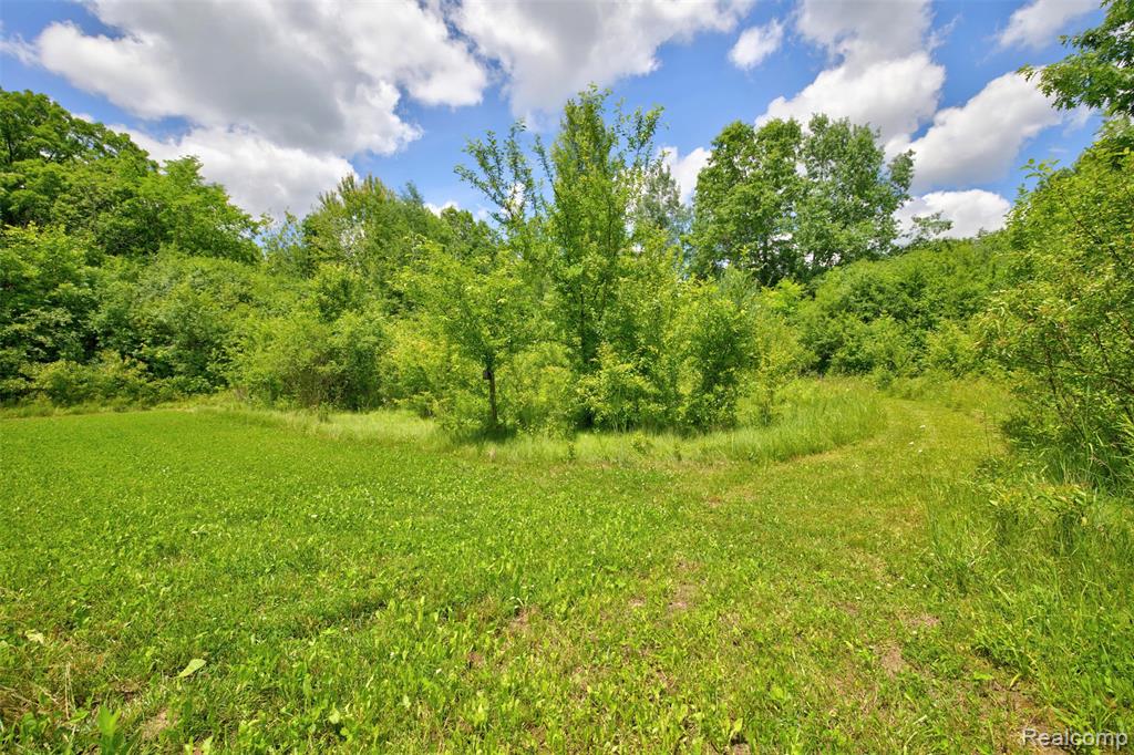 5244 Oleksyn Road, Flint, MI 48504 — Photo 60