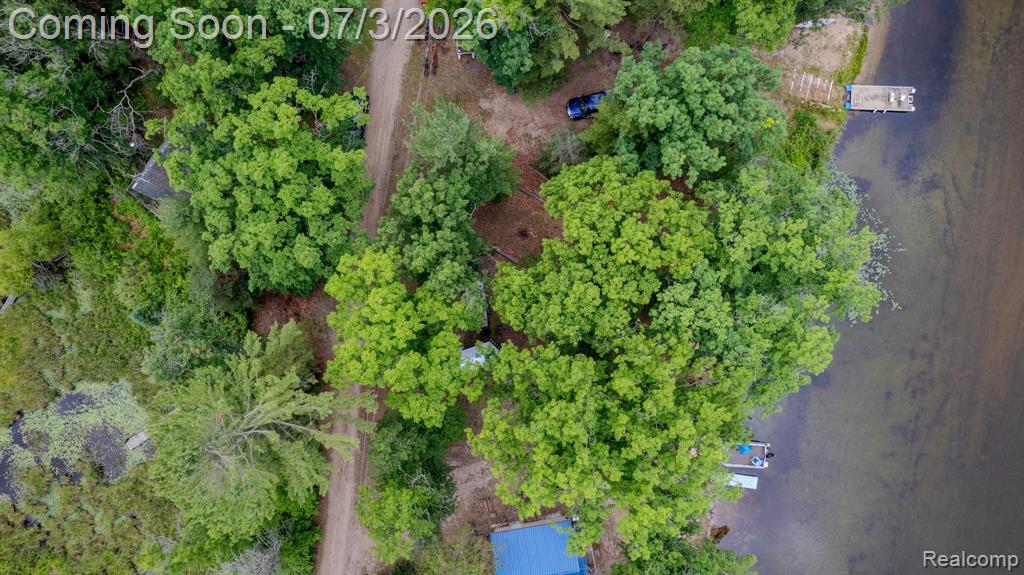 8272 Paradise Drive, South Branch, MI 48761 — Photo 32