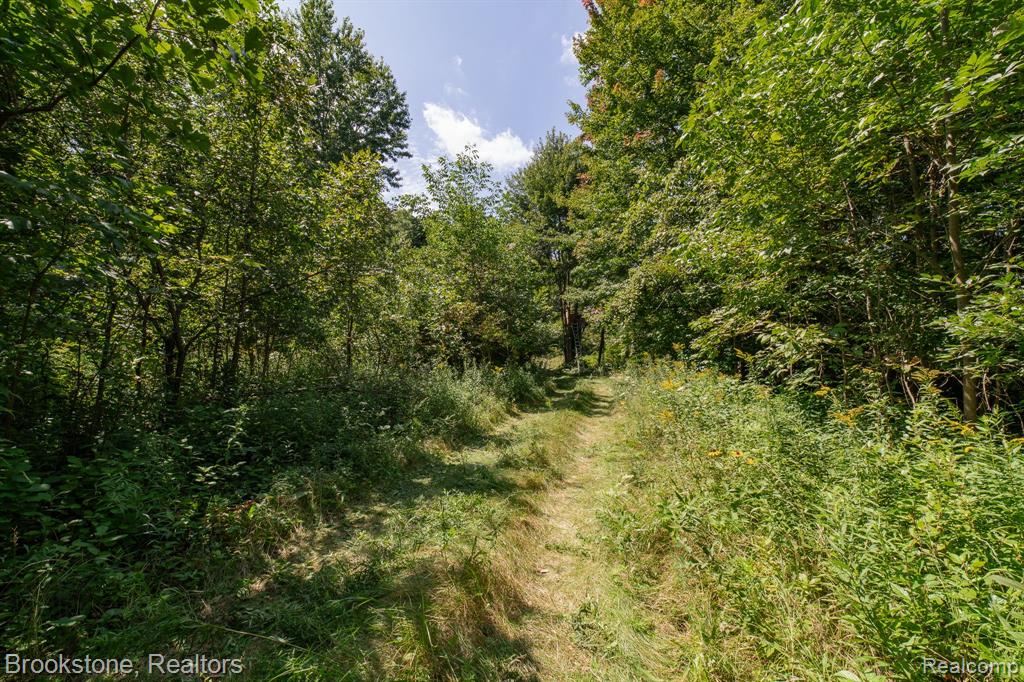 VL Sashabaw Road, Ortonville, MI 48462 — Photo 5