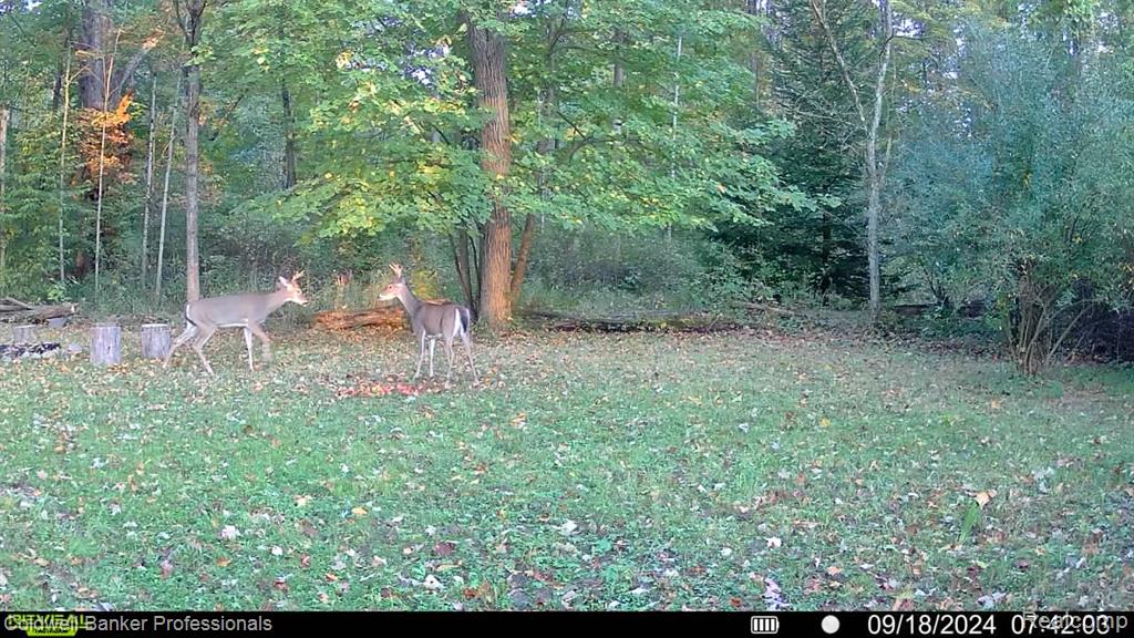 VL Rattle Run Road, St. Clair, MI 48079 — Photo 27