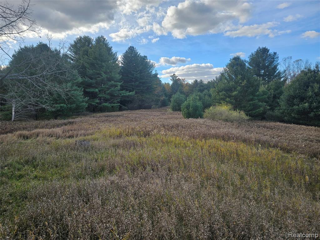 4901 M-55, Tawas City, MI 48763 — Photo 15