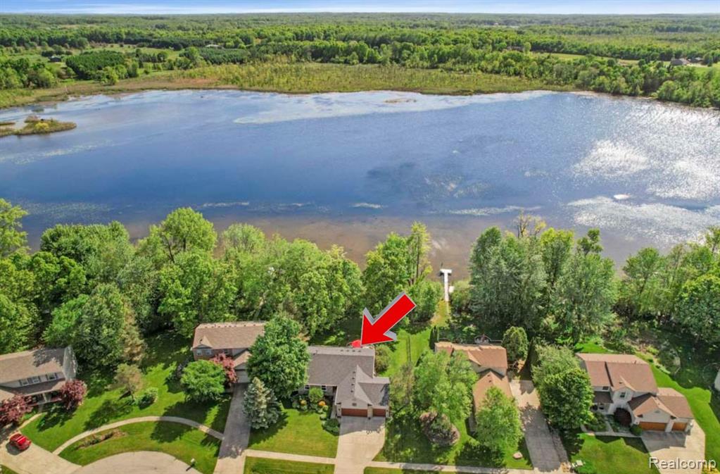 9450 SANDLEWOOD Court, Whitmore Lake, MI 48189 — Photo 3