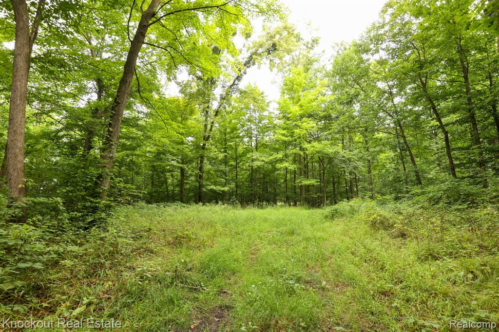 8000 Roedel Road, Frankenmuth, MI 48734 — Photo 4