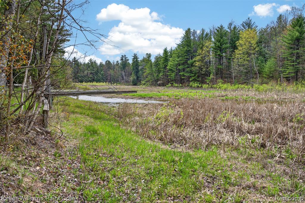 5429 Daily Road, Clement, MI 48610 — Photo 19