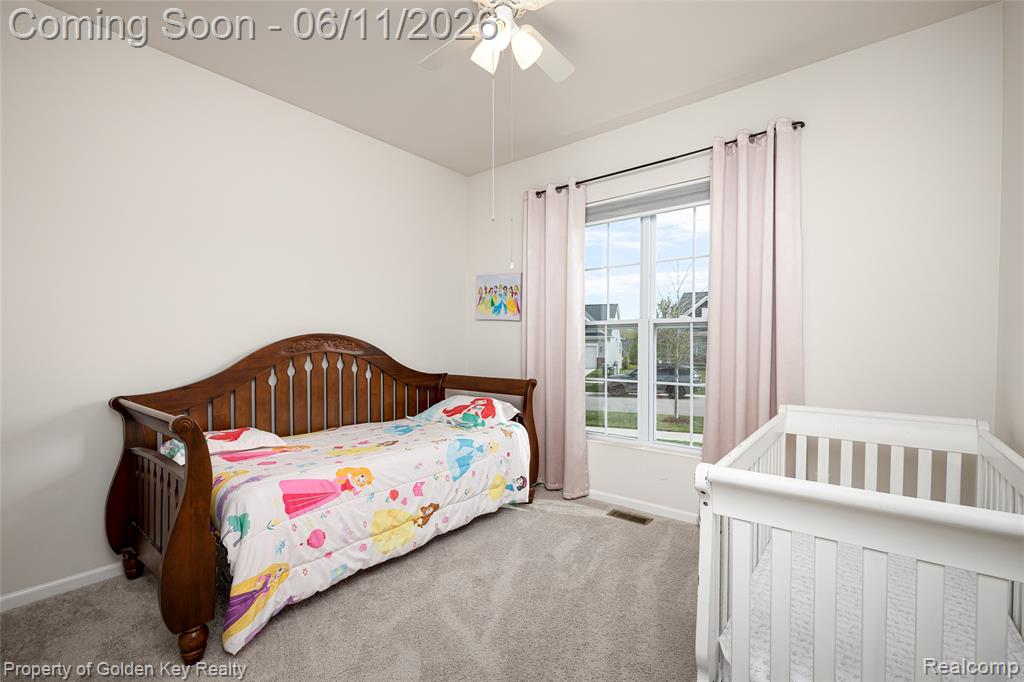 8238 Carston Lane, Brighton, MI 48116 — Photo 12