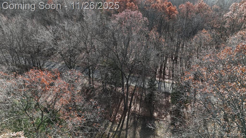9300 Bath Road, Laingsburg, MI 48848 — Photo 18